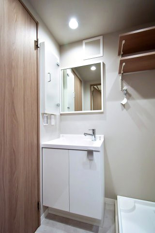 ドミシール田園 洗面室
