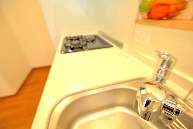 パレス三條 キッチン