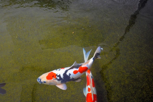 パレス三條 外観 (4)