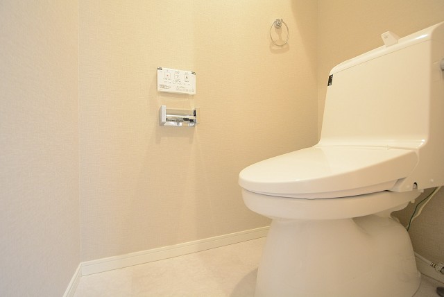 田園調布スカイマンション トイレ