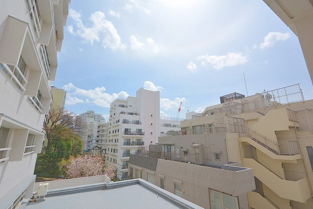 パレス三條 洋室2