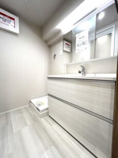 本郷壱岐坂ハイツ 洗面室