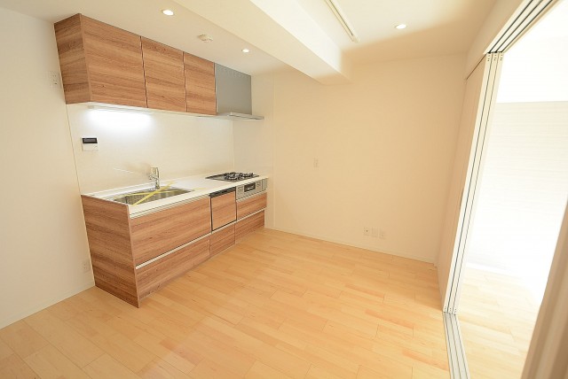 田園調布スカイマンション LD