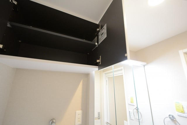 田園調布スカイマンション 洗面