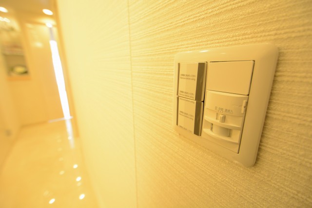 カーサ第二蒲田 玄関