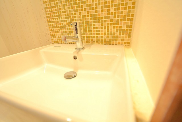 パレス三條 洗面