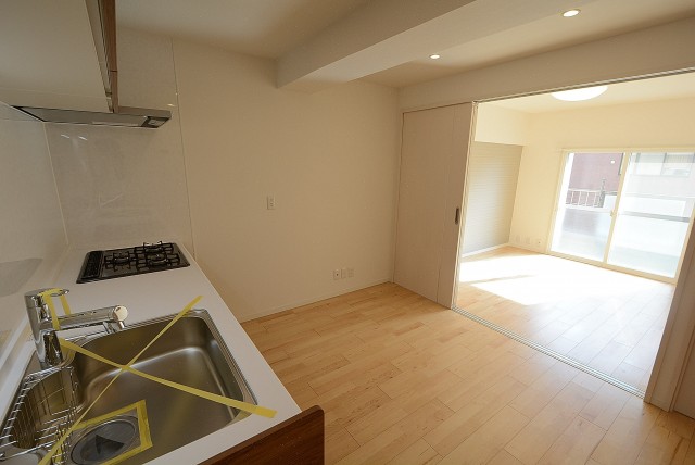 田園調布スカイマンション LD