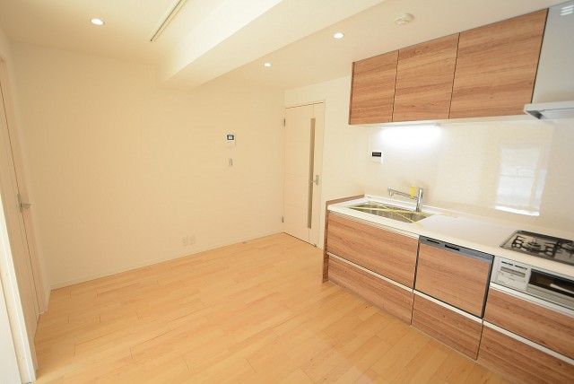 田園調布スカイマンション LD