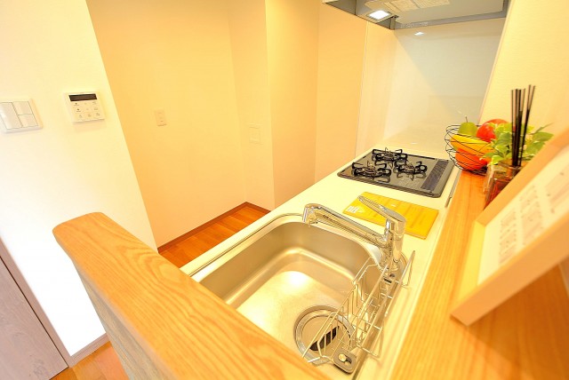 パレス三條 キッチン