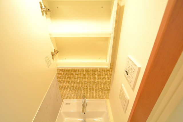 パレス三條 洗面