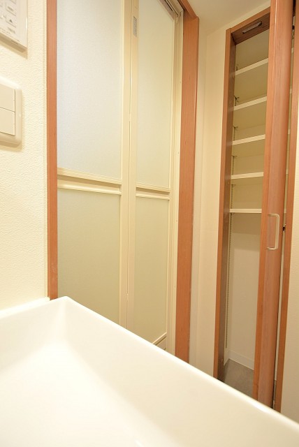 パレス三條 洗面