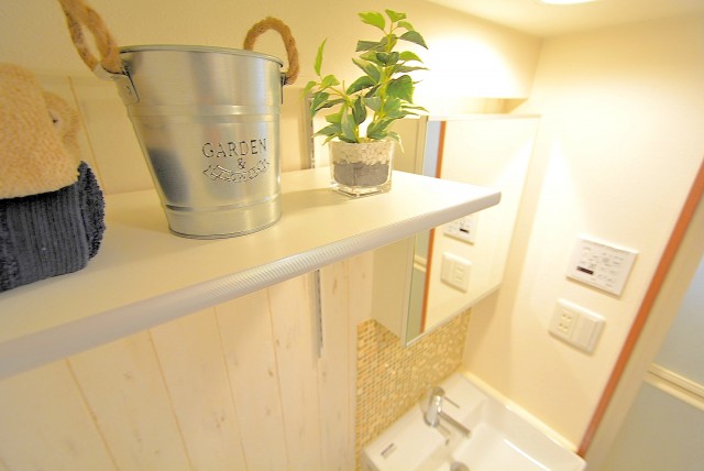 パレス三條 洗面