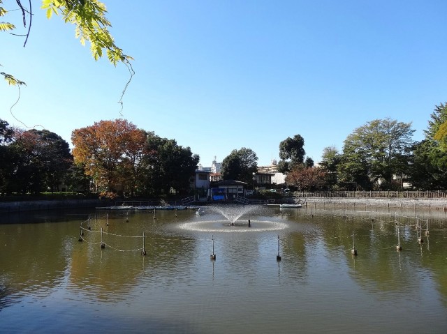 グランドメゾン碑文谷　碑文谷公園
