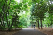 アルス目黒学芸大学弐番館 林試の森公園