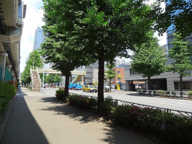 東建参宮橋マンション　周辺環境