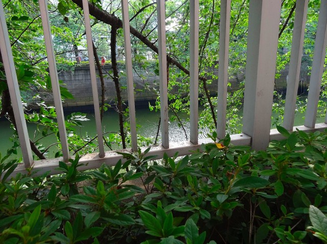 マンション雅叙苑　目黒川