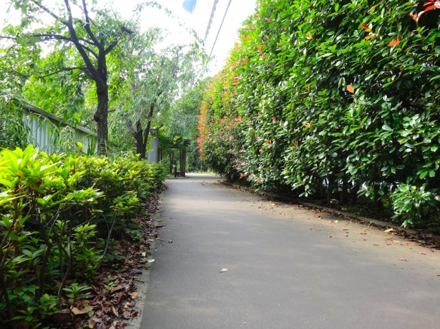 マンション雅叙苑　マンション周辺