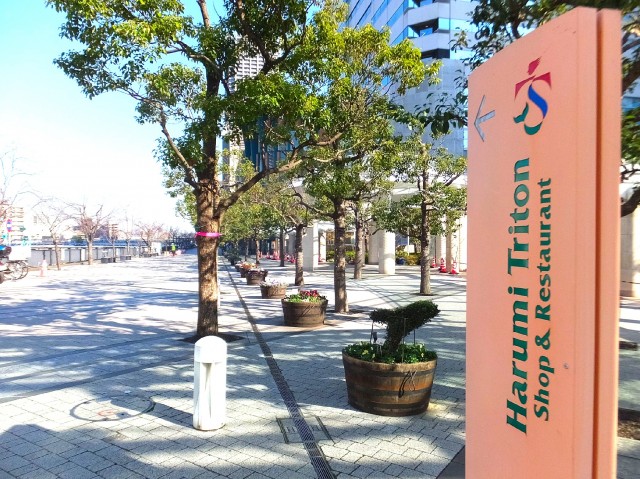 ソフトタウン晴海　晴海トリトンスクエア