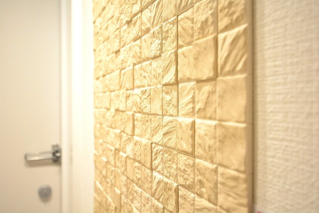 レグノ・スイート三軒茶屋　玄関壁面のエコカラット