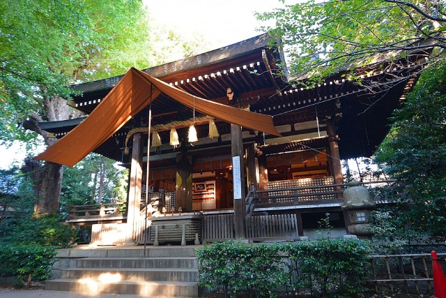 自由が丘タウンハウス　奥沢神社