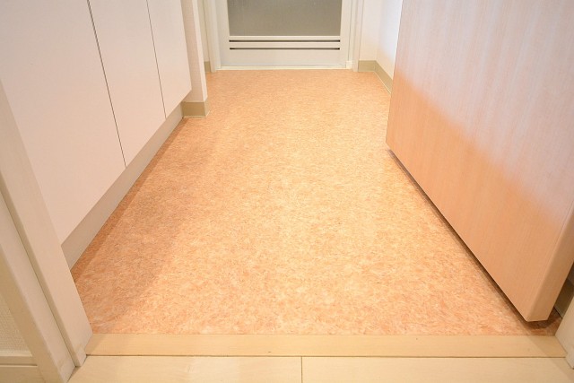 レグノ・スイート三軒茶屋　洗面室