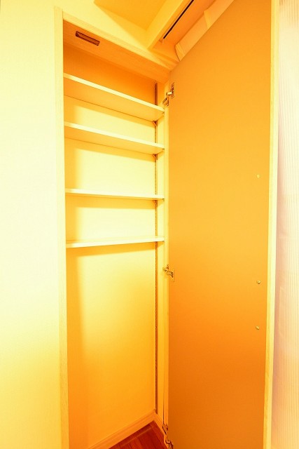 原宿第8宮庭マンション　8.8帖のベッドルーム収納