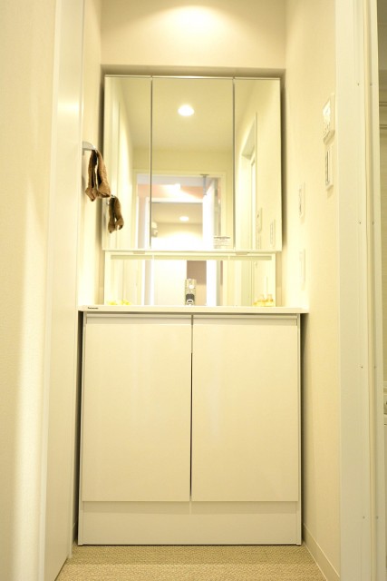 アイビハイツ南品川　洗面化粧台