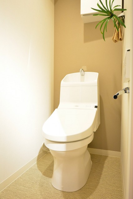 アイビハイツ南品川　トイレ