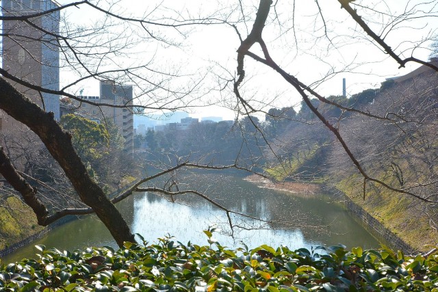 北の丸ビル　皇居のお堀