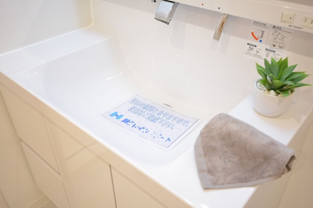 カーサ第2蒲田　洗面ボウル