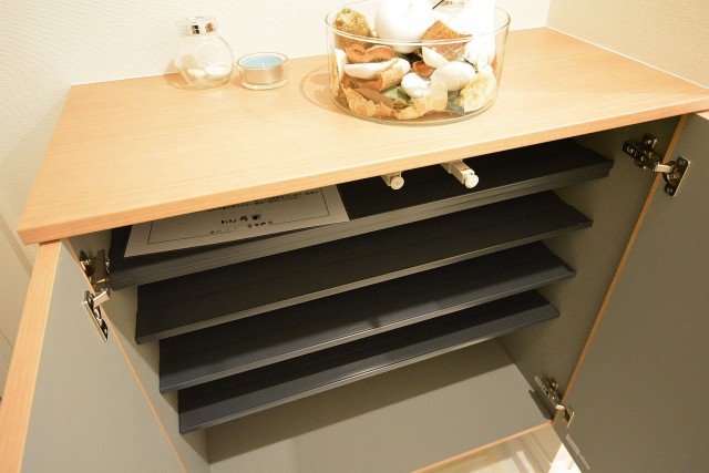 玉川スカイハイツ　シューズＢＯＸ