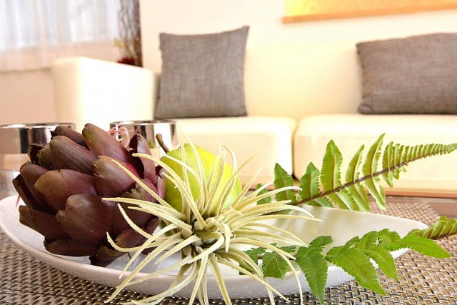 カーサ第2蒲田　LDK約10.1帖