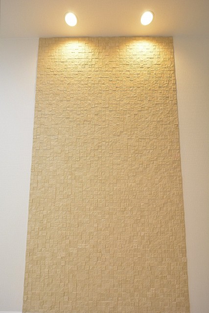 ブリリアンス五反田　9.1帖のLDK　エコカラット②