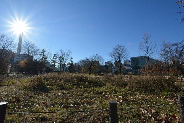 ニックハイム中目黒　中目黒公園