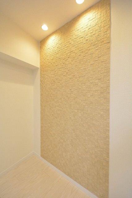 ブリリアンス五反田　9.1帖のLDK　エコカラット①