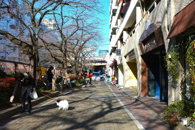 中目黒マンション　前面道路