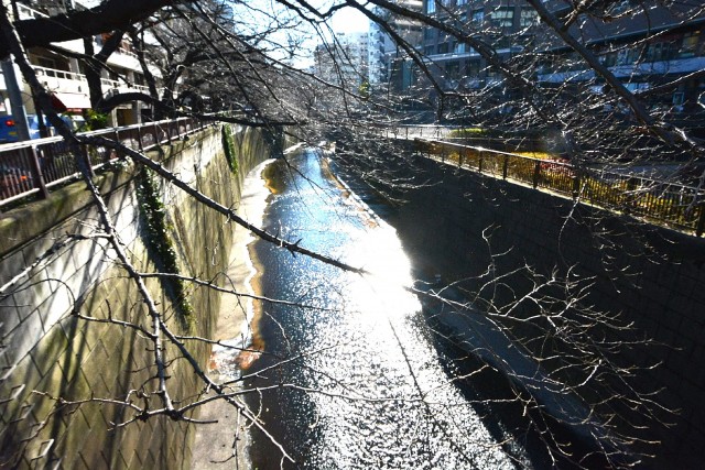 中目黒マンション　目黒川