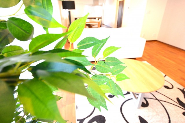 大森ロイヤルハイツ　ＬＤＫ約31.0帖