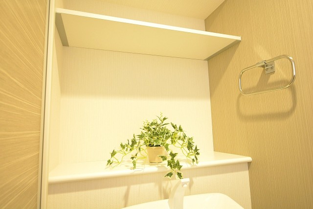 秀和奥沢レジデンス　トイレ