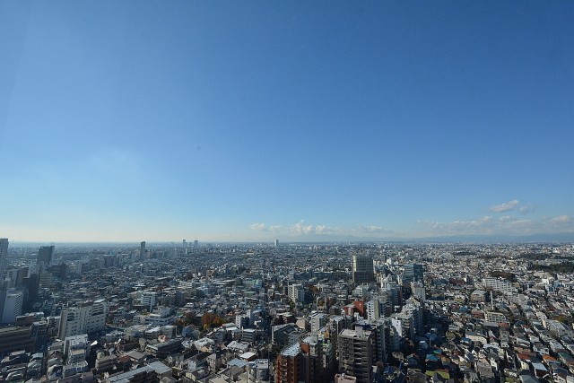 ヴァンヴェール世田谷　キャロットタワー眺望