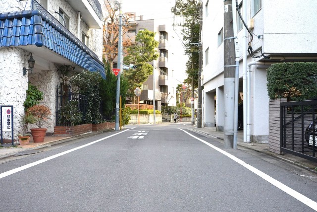 秀和奥沢レジデンス　エントランス前道路