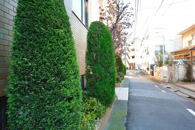 サンサーラ池袋　手入れの行き届いた植栽