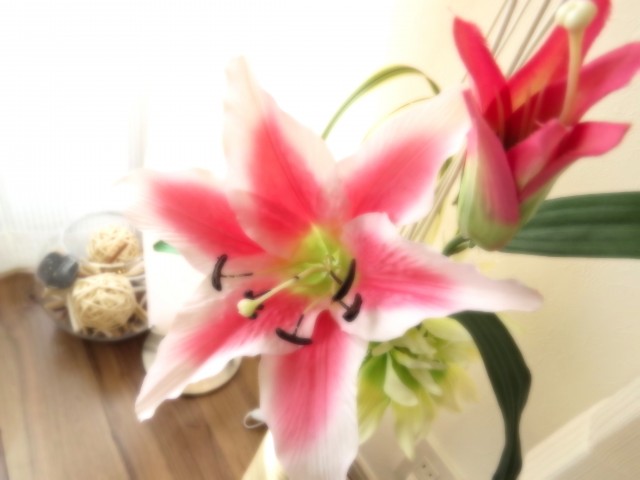 GSハイム築地　ＬＤＫ約11.9帖