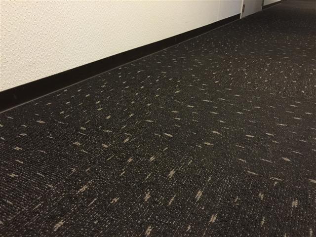 サンクタス文京大塚アヴァンテラス　内廊下