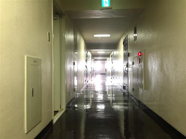 アルカディア経堂　内廊下