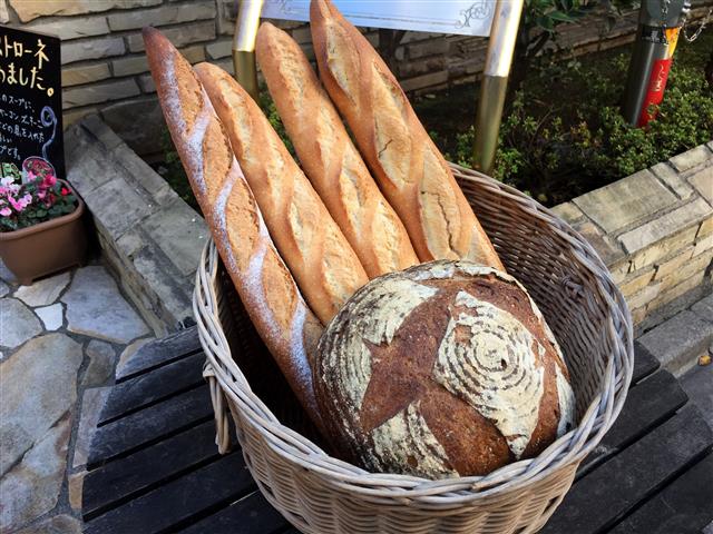 チュリス代々木　周辺環境