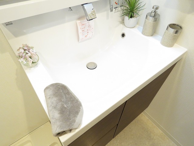 西蒲田スカイハイツ　洗面ボウル