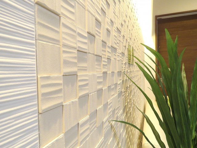 西蒲田スカイハイツ　ＬＤＫ壁面のエコカラット