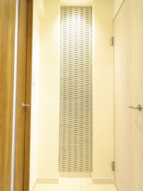 セザール白金　廊下のエコカラット