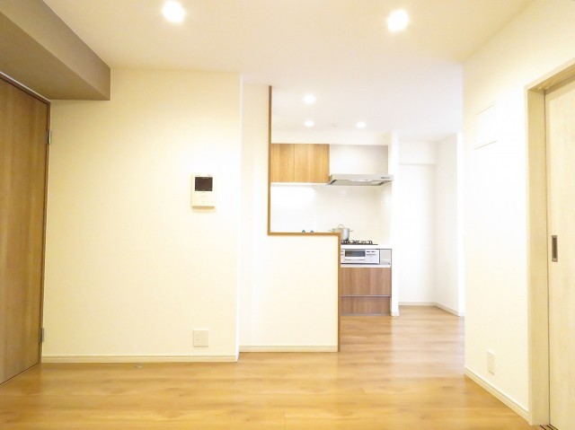 セザール白金　ＬＤＫ約13.3帖